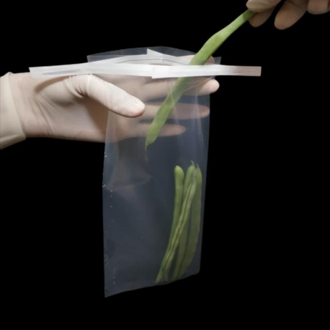 Sac de pr&eacute;l&egrave;vement st&eacute;rile jetable avec fils de laboratoire st&eacute;rile jetable 400 ml sac &agrave; filtre complet sacs de pr&eacute;l&egrave;vement st&eacute;riles 1