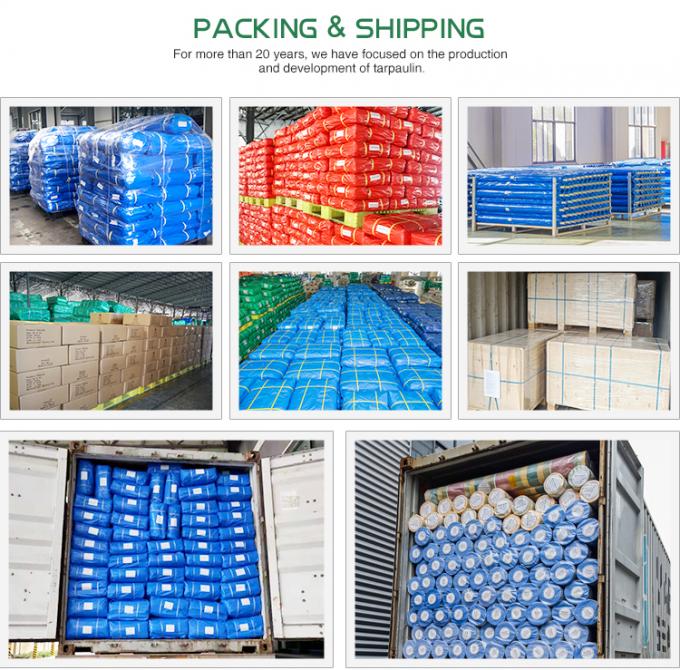 Couleur bleue Telaurine PE Telaurine imperméable à l'eau Telaurine fabriquée en CHINE Vente à chaud Longue durée de vie Telaurines 1500D Couverture de voiture 6