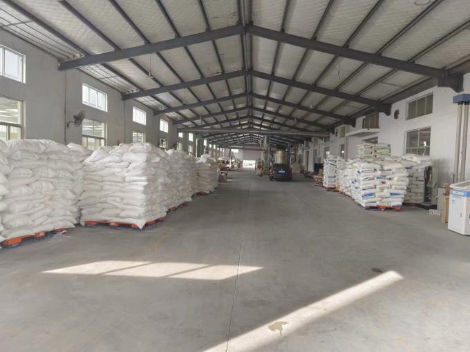 Fermeture à sel en plastique jetable à l'épreuve de la manipulation, logo personnalisé, joints en plastique, joints en plastique, joints en plastique de 30 cm pour banque 14