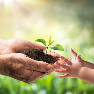 Gants 100% compostables, gants à base de maïs, gants jetables pour les services alimentaires, gants de cuisine pour la préparation des aliments, écologiques 3