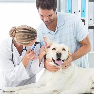 Gants de dressage à usage unique Insemination vétérinaire Rectal Gants longs, manches extrêmement longues Gants à bras longs 2