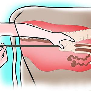 Gants de dressage à usage unique Insemination vétérinaire Rectal Gants longs, manches extrêmement longues Gants à bras longs 4