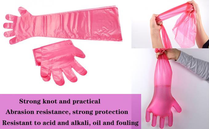 Gants de dressage à usage unique Insemination vétérinaire Rectal Gants longs, manches extrêmement longues Gants à bras longs 5