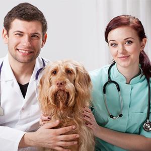 Gants de dressage à usage unique Insemination vétérinaire Rectal Gants longs, manches extrêmement longues Gants à bras longs 8