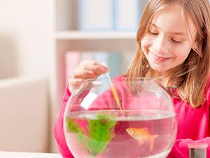 Pipettes à goutte à goutte en plastique jetables de 3 ml, goutte à goutte calibrée adaptée au laboratoire scientifique, art de bricolage (15) 4