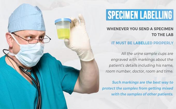 Fournir des échantillons de tasses avec des couvercles anti-fuite couvercle de haute qualité en plastique polypropylène sans latex non stérile 25 4 oz 4