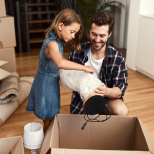 Ruloir à bulles largeur 24 x largeur 175 pieds petites bulles 3/16 perforées tous les 12 ans, enveloppe de rembourrage à bulles perforées claires 2