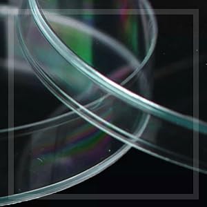 Disques de Petri stériles avec couvercle (90 x 15 mm), pipettes en plastique de 2 ml pour analyse en laboratoire, projets scolaires, prélèvements sanguins 1