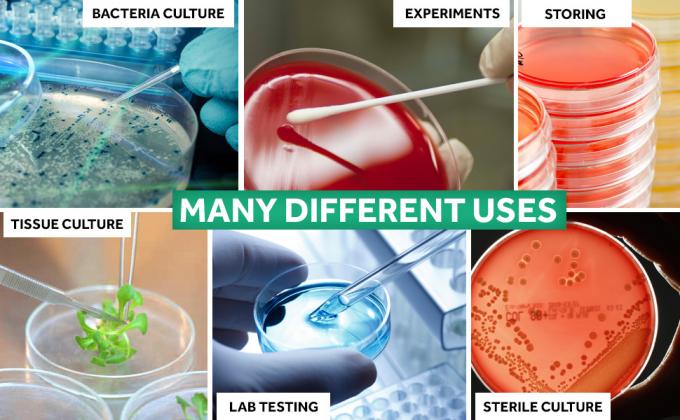 Disques de Petri stériles avec couvercle (90 x 15 mm), pipettes en plastique de 2 ml pour analyse en laboratoire, projets scolaires, prélèvements sanguins 4