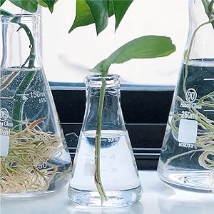 Flacon Erlenmeyer &agrave; bouche &eacute;troite avec bouchon en caoutchouc Flacon en verre 5 pi&egrave;ces, flacon Erlenmeyer &agrave; bouche &eacute;troite, borosilicate 4