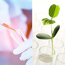 Tubes d'essai, 50 ml - Borosilicate 3,3 verre - Pares épaisses de 1,2 mm, bord perlé - Durabilité thermique et chimique supérieure 5