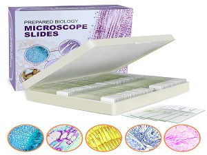 Diapositives au microscope avec échantillons pour enfants, Diapositives au microscope préparées Plantes Animaux Insectes, Diapositives au microscope 0