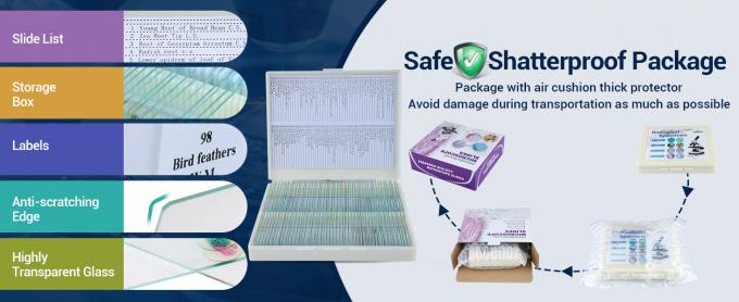 Diapositives au microscope avec échantillons pour enfants, Diapositives au microscope préparées Plantes Animaux Insectes, Diapositives au microscope 4