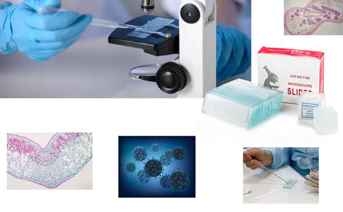 Slides et couvertures pour microscope, diapositives en verre vierge pour microscope - 300 diapositives, 300 couvertures, pour microscopie 6