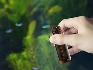 Emballage de 100 flacons en verre avec capuchon à vis phénolique noir (4 ml, transparent) Flacons en verre ambré en forme de gouttière 3