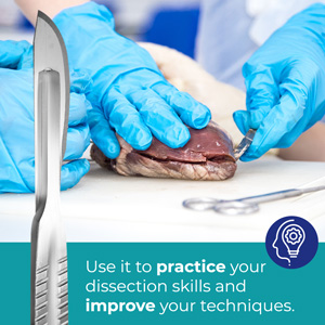 Kit de dissection avancée - 37 pièces au total. instruments en acier inoxydable de haute qualité parfait pour l'anatomie, la biologie, la botanique 2