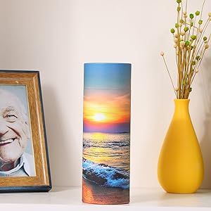 fournitures funéraires carton coffre biodégradable pour animaux coffre-citerne poubelle de dispersion tube de papier incinération cendres d'animaux de compagnie urne de dispersion 7