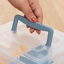 Hidden Portal Top Handle Plastic Box