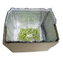 Boîtiers isolés par feuille pour boîtes de 8x8x8 Boîtes de taille-emballage à double face en feuille métallisée isolée Boîtes d'expédition isolées 3