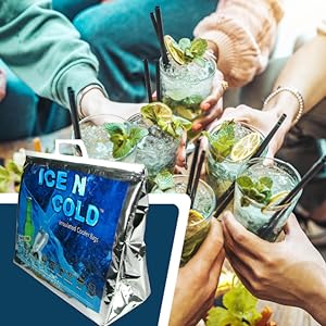 Sacs recyclés, sacs isolés, sacs rafraîchissants Logo personnalisé pour le vin thermique Bière 1