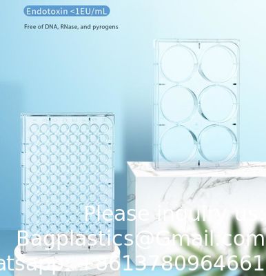 qualité  Plastic Sterile 4 6 12 24 48 96 384 Wells Tissue Culture Plate Cell Culture Plate For Lab Free Sample Free Shipping usine