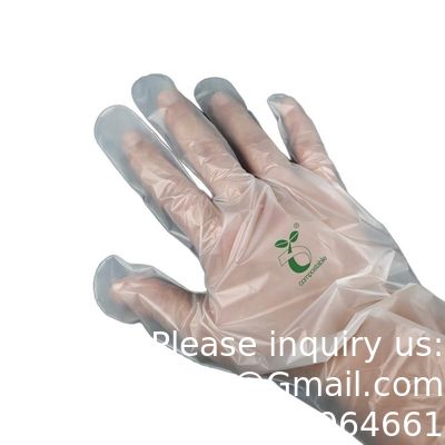 qualité  100% Compostable Gloves, Cornstarchgloves, Food Service Disposable Gloves, Food Prep Cooking Gloves, Eco-Friendly usine