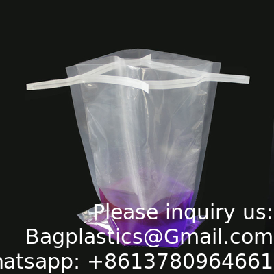 Sacs stériles de mélangeur de filtre de laboratoire pour les sacs de prélèvement stériles de laboratoire médical de collection témoin avec le fil