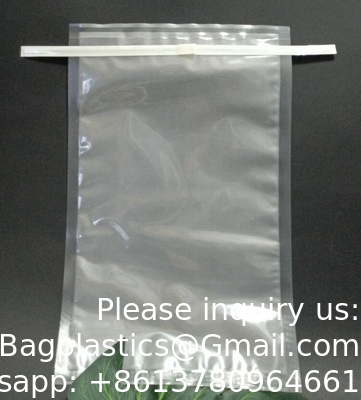 Filtre latéral, sac de mélangeur, filtre non tissé, appliqué pour filtrer des échantillons avec des fibres.