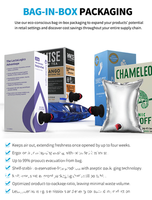 Facile de porter le vin de 1l 3l 5l 10l met en sac le sac de empaquetage de bavoir dans la boîte avec le sac de boîte de BAVOIR de bec, sac dans la boîte, poche froide de café
