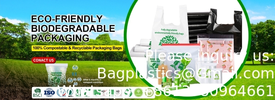 SPÉCIMENTS de fermeture à glissière biohazard médical Laboratoire Fermeture à glissière jetable biohazard Kangourou sac de collecte