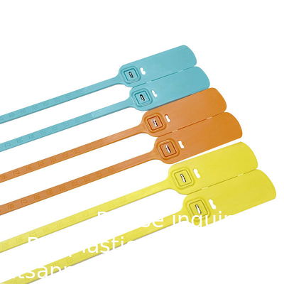 Fermeture à sel en plastique jetable à l'épreuve de la manipulation, logo personnalisé, joints en plastique, joints en plastique, joints en plastique de 30 cm pour banque