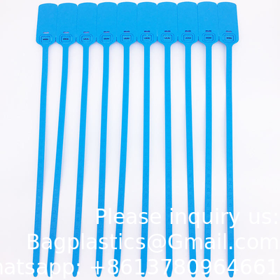 Fermeture à sel en plastique jetable à l'épreuve de la manipulation, logo personnalisé, joints en plastique, joints en plastique, joints en plastique de 30 cm pour banque