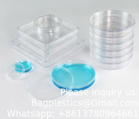 Produits de laboratoire Disque de culture de cellules bactériennes Disque de culture de cellules plastiques jetables transparents Disque de Petri