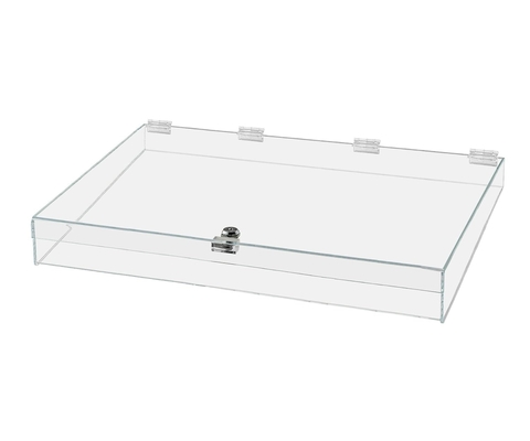 Boîte médicale à verrou unique en acrylique transparente avec clés, 13&quot; x 6,5&quot; x 5,5&quot; Médium pour le stockage médical de fournitures Médicaments
