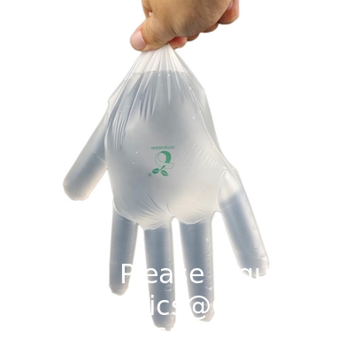 Gants 100% compostables, gants à base de maïs, gants jetables pour les services alimentaires, gants de cuisine pour la préparation des aliments, écologiques
