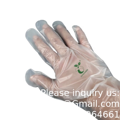 Gants 100% compostables, gants à base de maïs, gants jetables pour les services alimentaires, gants de cuisine pour la préparation des aliments, écologiques