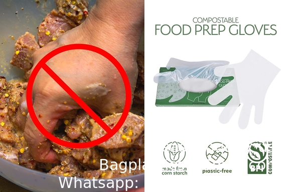Gants 100% compostables, gants à base de maïs, gants jetables pour les services alimentaires, gants de cuisine pour la préparation des aliments, écologiques