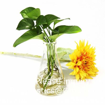Flacon Erlenmeyer à bouche étroite avec bouchon en caoutchouc Flacon en verre 5 pièces, flacon Erlenmeyer à bouche étroite, borosilicate