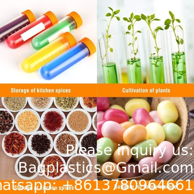 SCIENCE LAB Science primaire Jumbo tubes à essai avec support, ensemble de 10 tubes, ustensiles en plastique de laboratoire, tube de laboratoire pour les tests