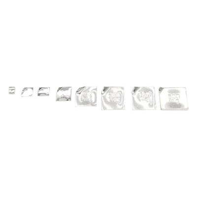 Étalonnage de la balance de l'échelle ensemble de poids avec cas-10-500g (8 pièces: 10g,20g,20g,50g,100g,100g,200g,500g) 8 pièces est de 1000 grammes