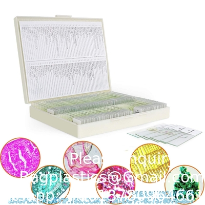 Diapositives au microscope avec échantillons pour enfants, Diapositives au microscope préparées Plantes Animaux Insectes, Diapositives au microscope