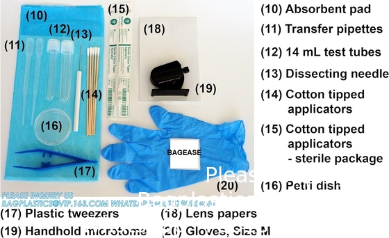 Kit de préparation des diapositives pour microscope tout-en-un Kit de préparation des diapositives pour microscope - Essai de l'échantillon essentiel de l'étudiant