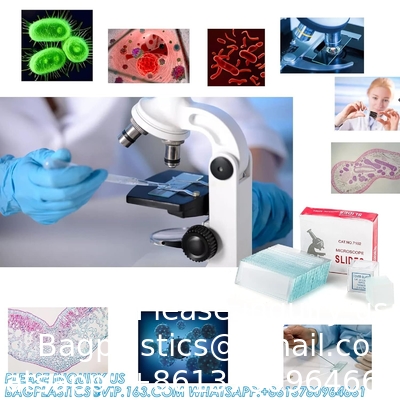 Slides et couvertures pour microscope, diapositives en verre vierge pour microscope - 300 diapositives, 300 couvertures, pour microscopie