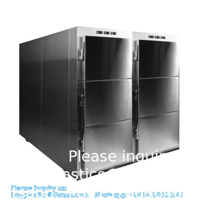 6 chambres réfrigérateur de corps morts morgue congélateur équipement morgue cercueil 6 chambres congélateur de corps morts