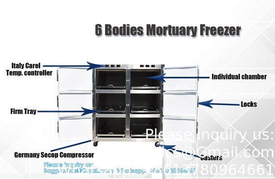 6 chambres réfrigérateur de corps morts morgue congélateur équipement morgue cercueil 6 chambres congélateur de corps morts