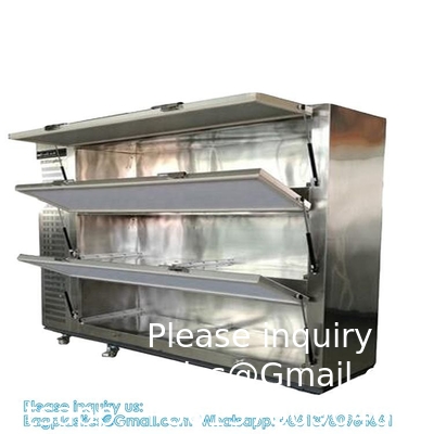 Régulateur de température individuel 3 tiroirs équipement funéraire fournitures boîte refroidisseur chambre morgue congélateur