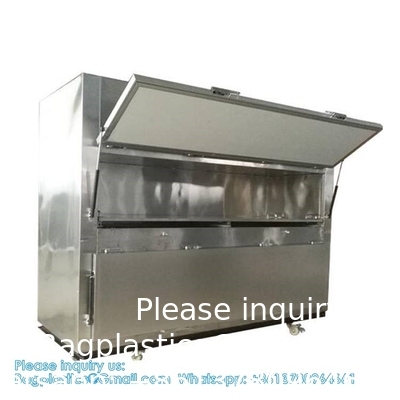 Régulateur de température individuel 3 tiroirs équipement funéraire fournitures boîte refroidisseur chambre morgue congélateur