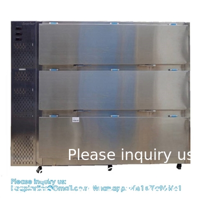 Régulateur de température individuel 3 tiroirs équipement funéraire fournitures boîte refroidisseur chambre morgue congélateur