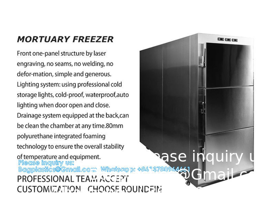 Régulateur de température individuel 3 tiroirs équipement funéraire fournitures boîte refroidisseur chambre morgue congélateur