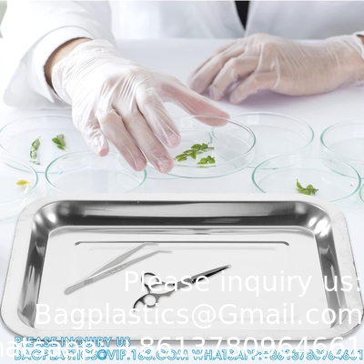 Plateau de dissection en cire en acier inoxydable Pan de dissection épais Équipement biologique pour le laboratoire des écoles secondaires
